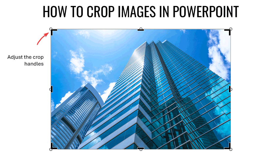 How to crop an image in PowerPoint - Adjusting the crop handles to crop a picture in PowerPoint