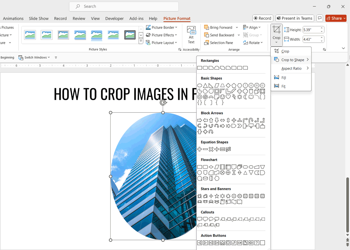 How to reshape picture in PowerPoint using the Crop feature