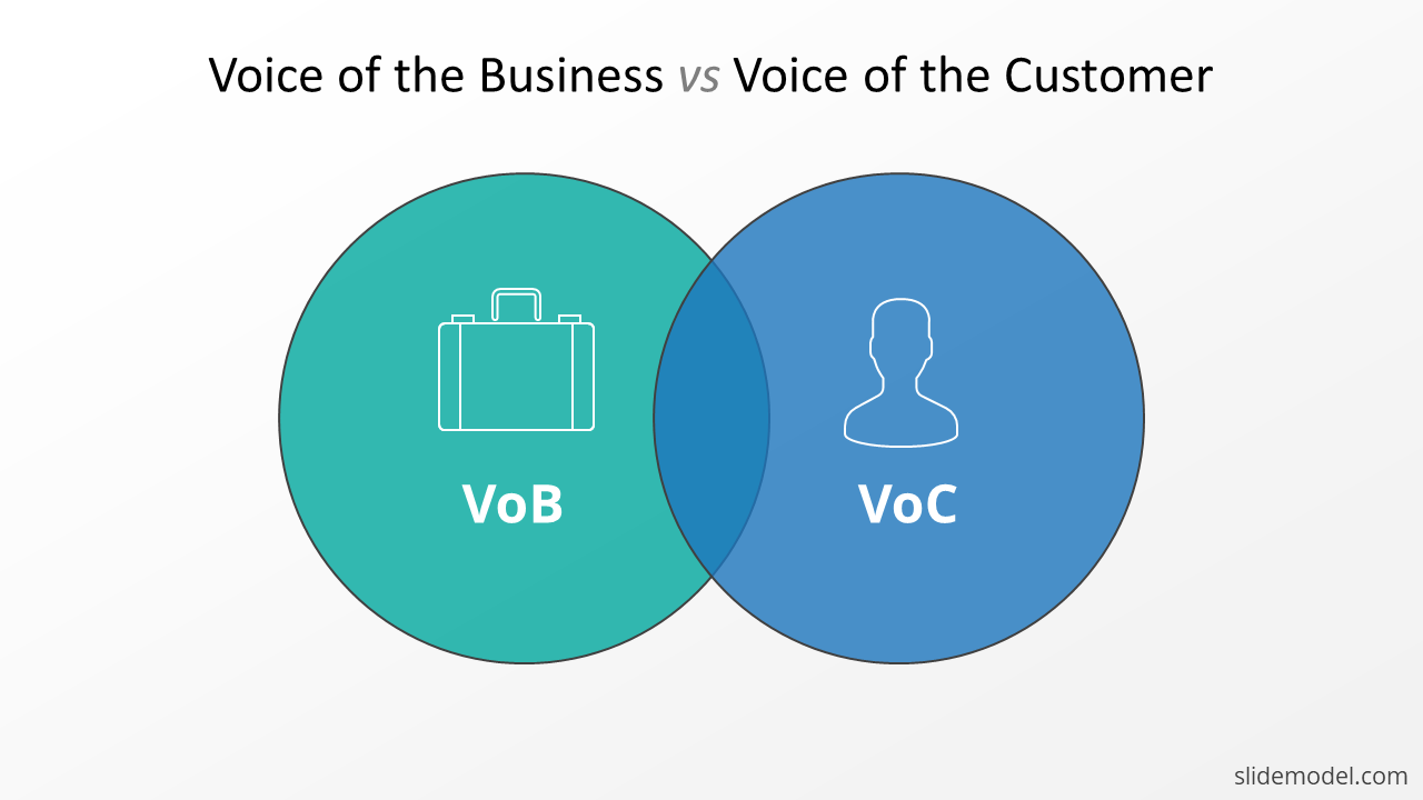 Voice of the Customer vs Voice of the Business